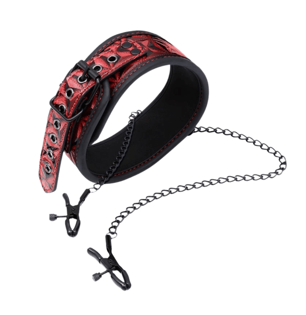 COLLAR CON PINZAS ROJO