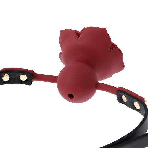 mordaza-bola-silicona-transpitable-adorno-rosa-ajustable-47-56-cm__3_-removebg-preview