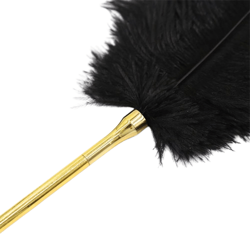 estimulador-de-plumas-41-cm__1_-removebg-preview