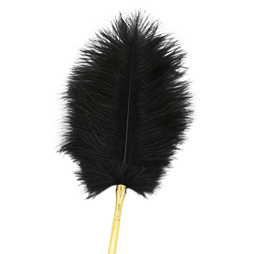 estimulador-de-plumas-41-cm__2_-removebg-preview