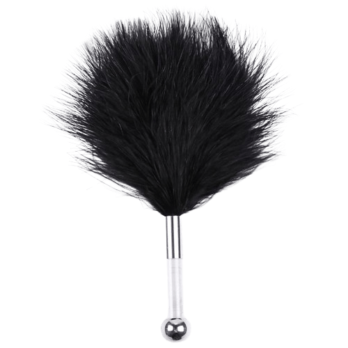 PLUMERO NEGRO MANGO DE METAL
