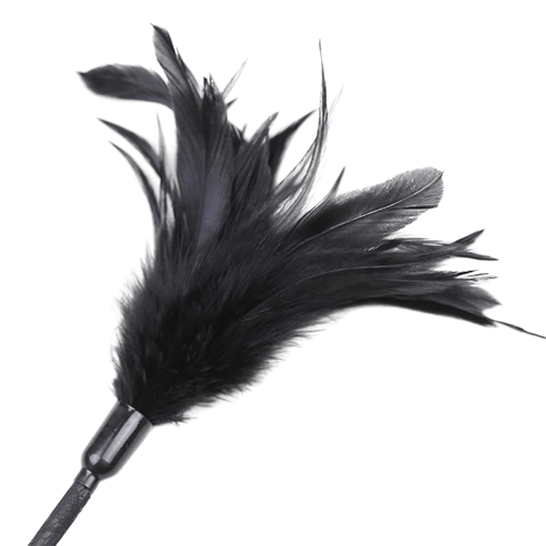 multi-feathers-tickler-and-lace-ribbon-paddle-comb__1_-removebg-preview