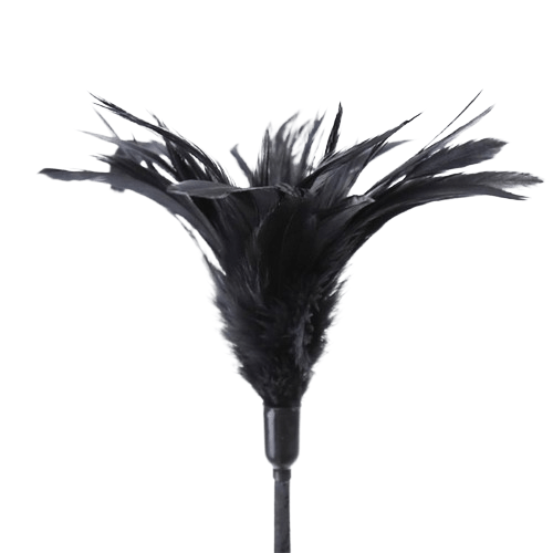 multi-feathers-tickler-and-lace-ribbon-paddle-comb__2_-removebg-preview