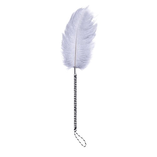 PLUMERO BLANCO